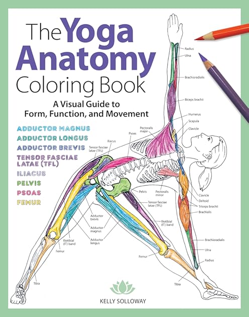 Yoga Anatomy Coloring Book: A Visual Guide to Form, Function, and Movement - An Educational Anatomy Coloring Book for Medical Students, Yoga ... & Adults (Volume 1) (Anatomy Coloring Books)