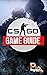 CSGO Game Guide
