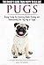 Pugs: The Owner's Guide from Puppy to Old Age - Choosing, Caring for, Grooming, Health, Training and Understanding Your Pug Dog or Puppy