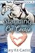 Standing On Course (Noble Dreams Book 3)