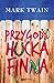 Przygody Hucka Finna