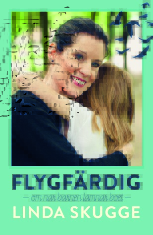 Flygfärdig