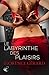 Le Labyrinthe des Plaisirs