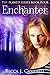 Enchanter (Flawed, #4)