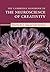 The Cambridge Handbook of the Neuroscience of Creativity by Rex E. Jung
