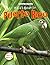 A Kid's Guide to Puerto Rico