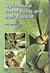 Agricultural Insect Pests a...
