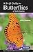 A Swift Guide to Butterflies of North America