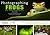 Photographing Frogs and Other Amphibians by Robin Hoskyns