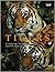 Tigers