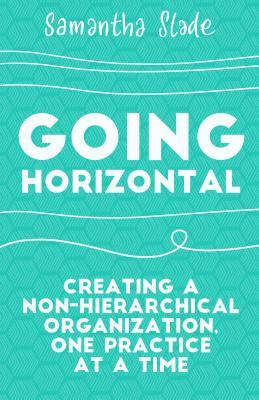 Going Horizontal: Creating a Non-Hierarchical Organization, One Practice at a Time (Paperback)