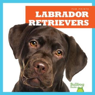 Labrador Retrievers (Paw Prints)