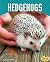 Hedgehogs (Cute and Unusual Pets)