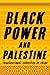 Black Power and Palestine: Transnational Countries of Color (Stanford Studies in Comparative Race and Ethnicity)