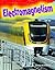 Electromagnetism (Science Readers: Content and Literacy)