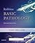 Robbins and Kumar Basic Pathology by Vinay   Kumar