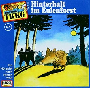 Hinterhalt im Eulenforst (TKKG)
