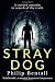 Stray Dog