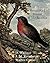 Robin Red Breast & My Mother
