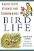Bird Life: A Guide to the Study of Our Common Birds