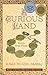 A Curious Land: Stories from Home (Grace Paley Prize in Short Fiction)