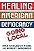 Healing American Democracy:...