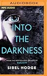 Into the Darkness by Sibel Hodge
