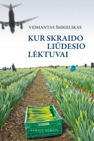 Kur skraido liūdesio lėktuvai