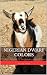 Nigerian Dwarf Colors by Rachel Payne