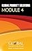 Module 4 Workbook: Global P...