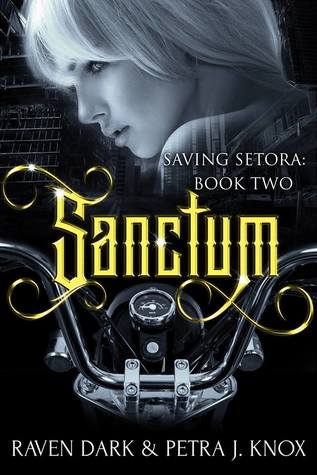 Sanctum (Saving Setora, #2)
