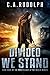 Divided We Stand (What's Le...
