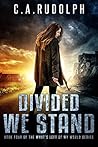 Divided We Stand