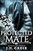 Protected Mate (Catamount Lion Shifters, #1)