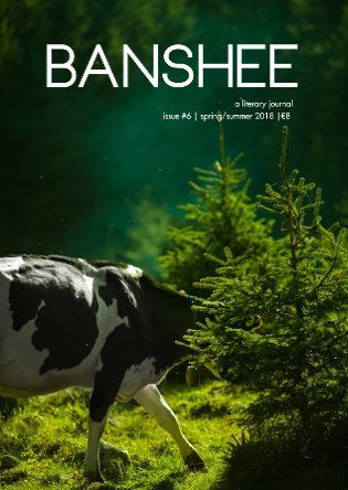 Banshee: A Literary Journal (Issue #6)