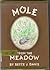Mole from the Meadow by Bette J. Davis