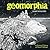 Geomorphia: An Extreme Coloring and Search Challenge