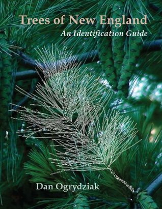 Trees of New England: An Identification Guide by Dan Ogrydziak