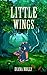 Little Wings by Diana Molly