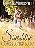 Sunshine Comes After Rain