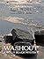 Washout: A Folly Beach Mystery