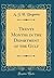 Twenty Months in the Department of the Gulf (Classic Reprint)