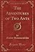 The Adventures of Two Ants