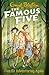 Famous Five: Five Go Adventuring Again: Book 2