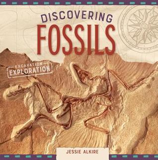 Discovering Fossils (Excavation Exploration)
