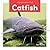 Catfish