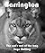 Barrington: The cat's out of the bag