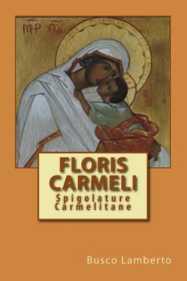 Floris Carmeli: Spigolature Carmelitane (Italian Edition)