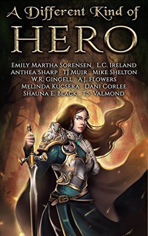 A Different Kind of Hero (Kindle Edition)