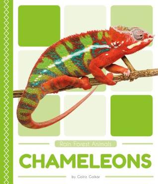 Chameleons (Rain Forest Animals)